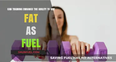 Boosting Fat Utilization: How Training Enhances Metabolic Efficiency