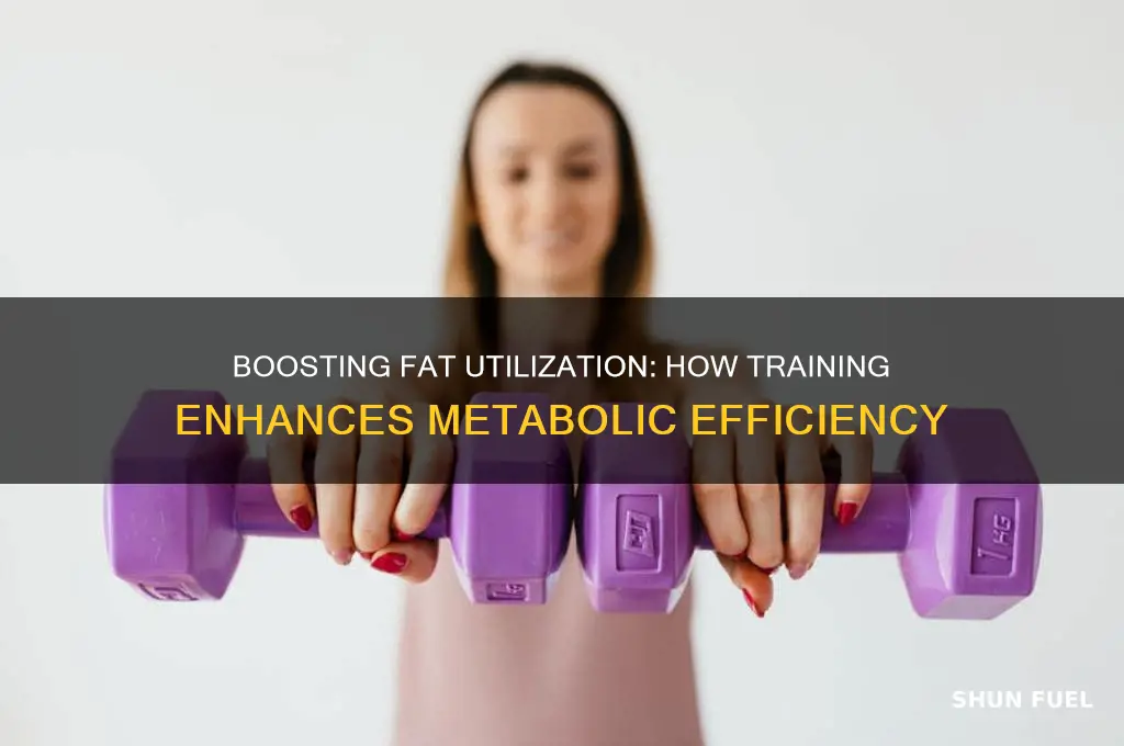 can training enhance the ability to use fat as fuel