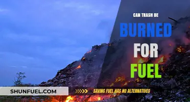 Burning Trash for Fuel: Sustainable Solution or Environmental Hazard?