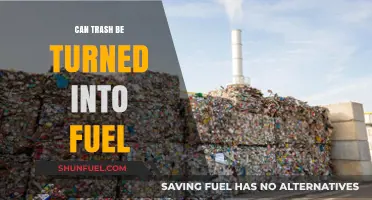 Transforming Waste to Energy: Can Trash Power Our Future?