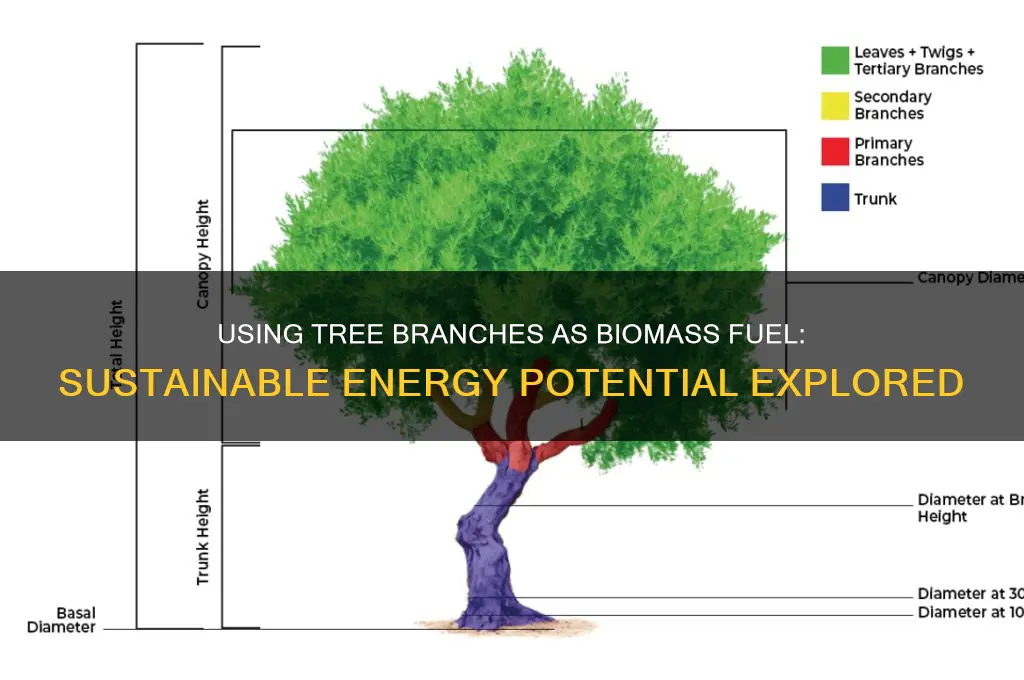 can tree branches be used for biomass fuel