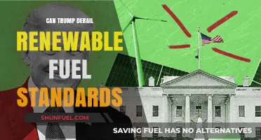 Can Trump's Policies Threaten Renewable Fuel Standards Progress?