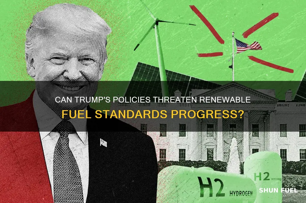 can trump derail renewable fuel standards