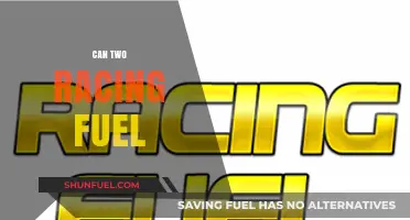 Can Two Racing Fuels Enhance Performance and Efficiency on the Track?