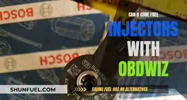 Fuel Injector Coding: OBDWiz Compatibility and Functionality