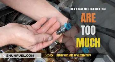 Fuel Injectors: Can Bigger Be Better?