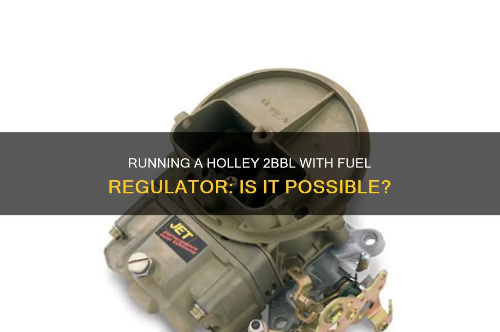can u run a holley 2bbl with fuel regulator