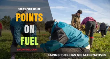 Spending Nectar Points on Fuel: What You Need to Know