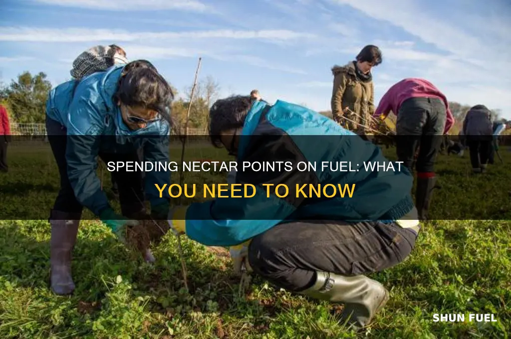 can u spend nectar points on fuel