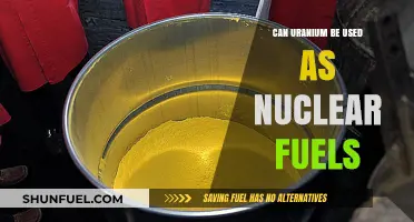 Uranium's Role in Nuclear Energy: Fueling Power or Peril?