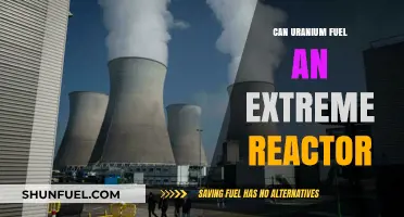 Uranium's Potential: Powering Extreme Reactors for Future Energy Needs