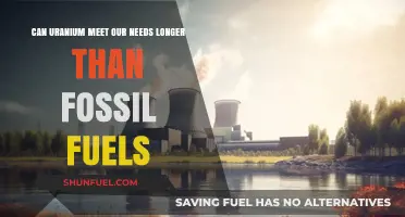 Uranium: Sustainable Energy Source or Just Another Fossil Fuel?