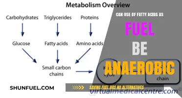 Fatty Acids as Anaerobic Fuel: Exploring Metabolic Possibilities and Limits