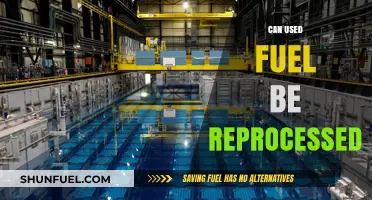 Reprocessing Used Fuel: A Sustainable Solution for Nuclear Energy?
