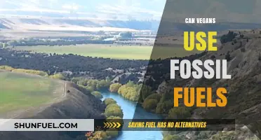 Vegan Ethics and Fossil Fuels: Navigating Energy Use Sustainably