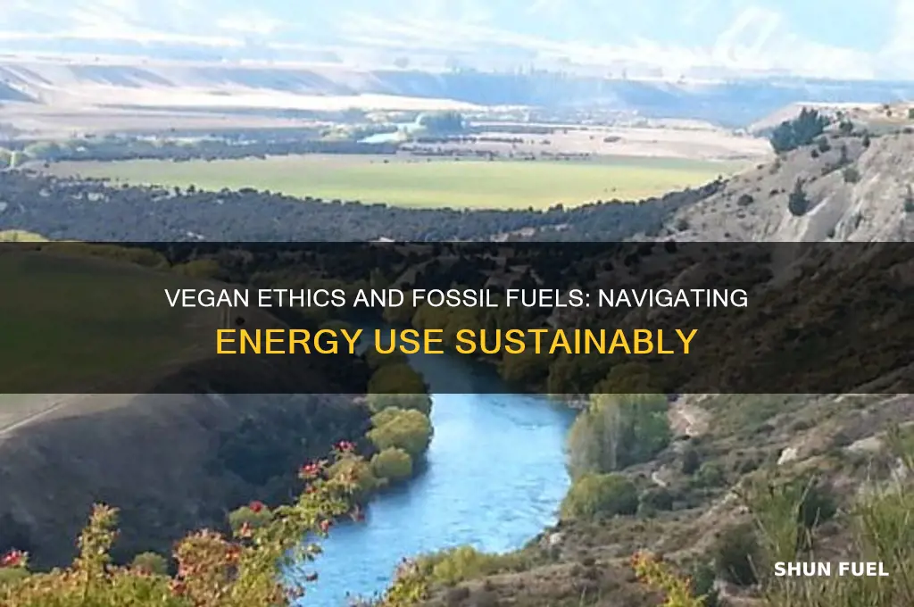 can vegans use fossil fuels