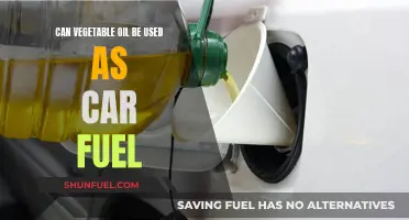 Vegetable Oil: The Green Alternative for Your Car's Fuel Tank?