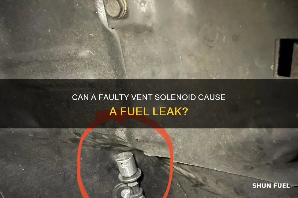 can vent solenoid cause fuel leak