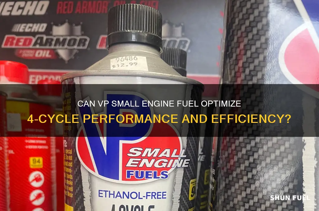 can vp small engine fuel 4 cycle
