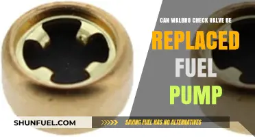 Walbro Check Valve Replacement: Can It Fix Your Fuel Pump?