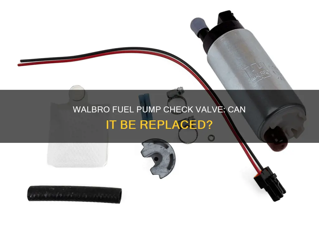 can walbro check valve be replaced fuel pump