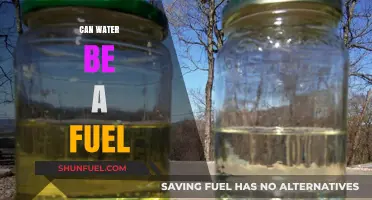 Exploring the Potential: Can Water Serve as a Sustainable Fuel?