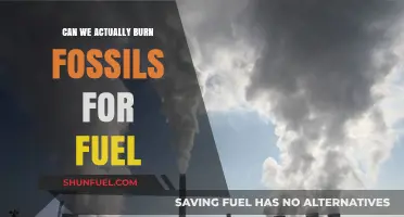 The Dark Side of Burning Fossil Fuels