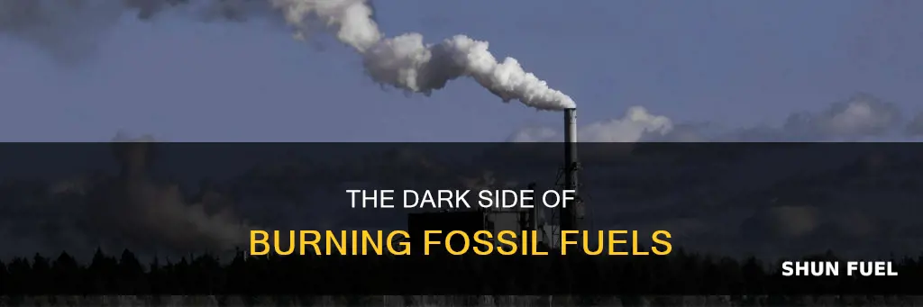 can we actually burn fossils for fuel
