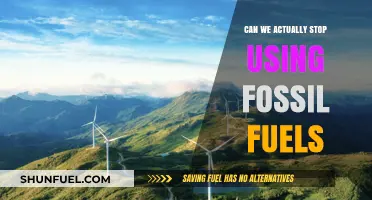 The Future of Fossil Fuels: Can We Quit?