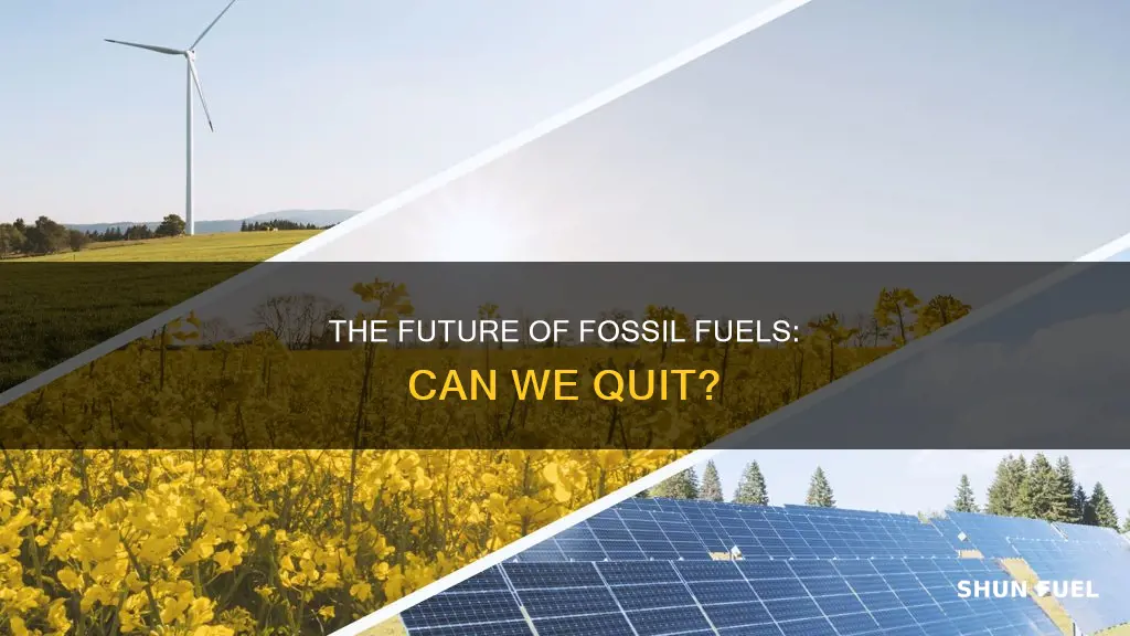 can we actually stop using fossil fuels