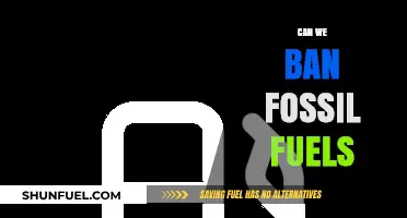 Ban Fossil Fuels: A Necessary Step for Our Future