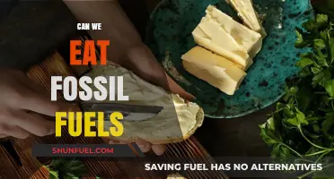 Fossil Fuels: Edible or Not?