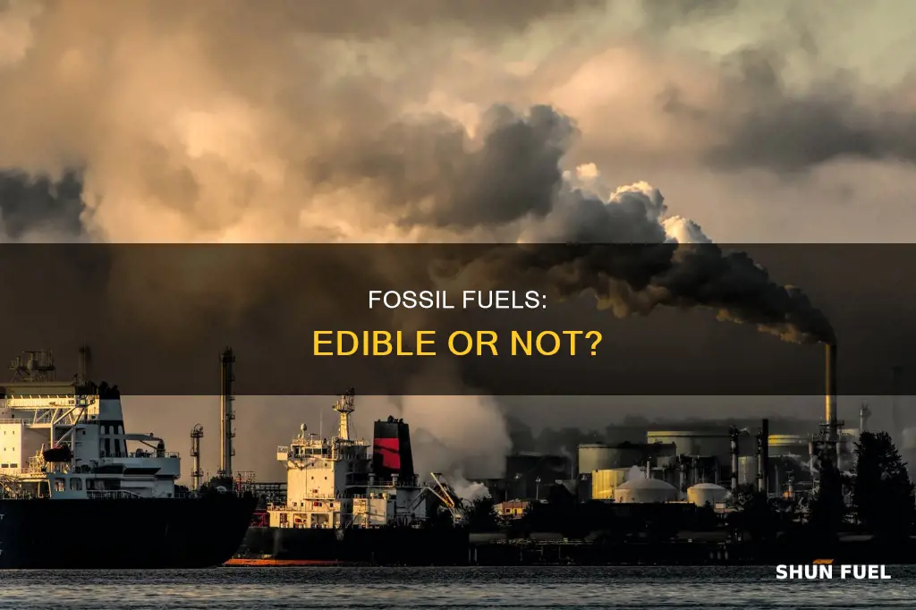 can we eat fossil fuels