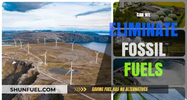 Can We Eliminate Fossil Fuels? Exploring Renewable Energy Alternatives