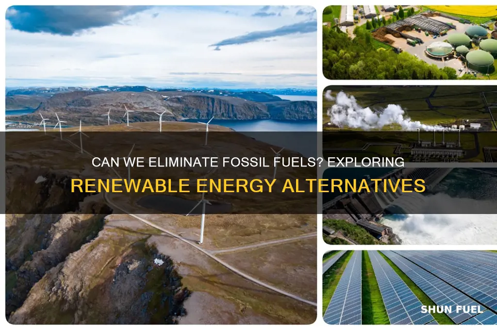 can we eliminate fossil fuels