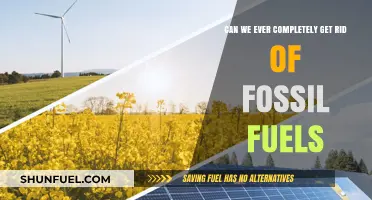 The End of Fossil Fuels: A Realistic Dream?
