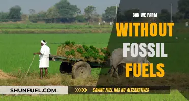 Farming Without Fossil Fuels: Is It Possible?