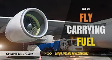 Can We Fly Carrying Fuel? Exploring Aviation's Fuel Challenges
