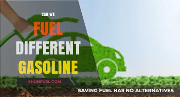 Exploring Alternative Gasoline Options: Can We Fuel Differently?