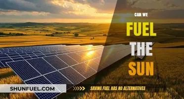Can We Fuel the Sun? Exploring Solar Energy's Cosmic Limits