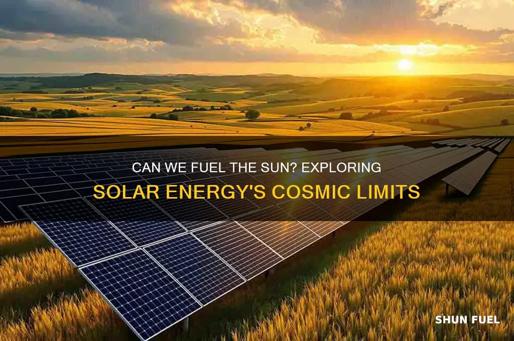 can we fuel the sun