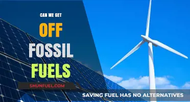 The Future Without Fossil Fuels: Is it Possible?