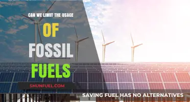 Fossil Fuels: Limiting Usage, Saving Our Planet
