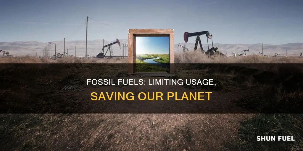 can we limit the usage of fossil fuels