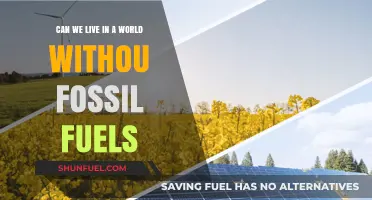 A World Without Fossil Fuels: Possible or Pipe Dream?
