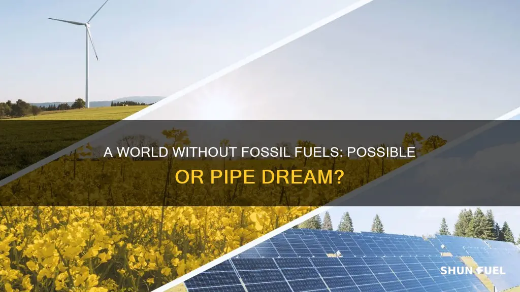 can we live in a world withou fossil fuels