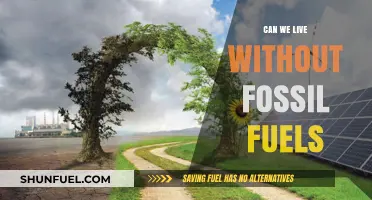 Can We Survive Without Fossil Fuels? Exploring a Sustainable Future