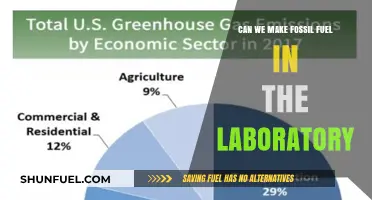 Can We Synthesize Fossil Fuels in the Laboratory?