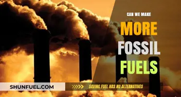 Creating Fossil Fuels: Is It Possible?