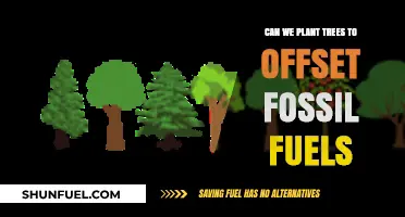 Planting Trees: A Viable Solution to Offset Fossil Fuel Emissions?